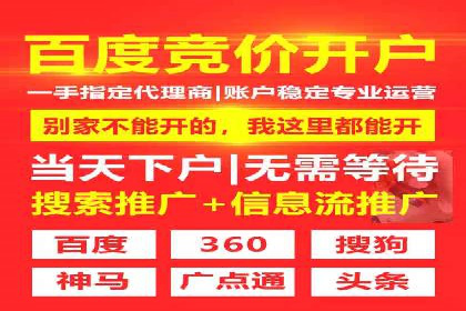 提升网站流量与转化率的关键——关键词竞价排名案例